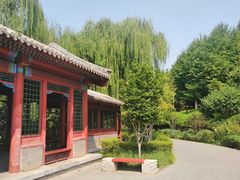 -北坞公园