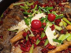 -老板恋上鱼(恒隆广场店)