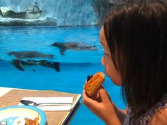 -帝企鹅自助餐厅•儿童岛•真企鹅(长隆企鹅酒店)