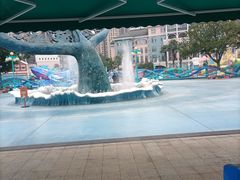 -海合安成都极地海洋公园