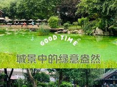 -静安公园(静安寺街道)