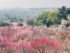 -无锡梅园公园