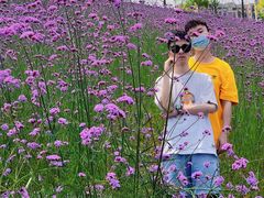 -石井坡(地铁站)