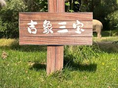 -北京野生动物园