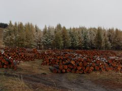 -塞罕坝国家级自然保护区