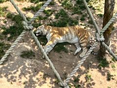 -西霞口神雕山野生动物世界