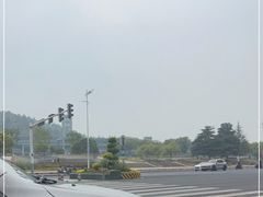 -杨氏青龙虾·羊蝎子(托乐嘉店)