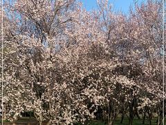 -蜀冈西峰生态公园