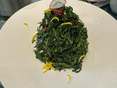 枸杞苗-阿玥凉手抓(宁东中凯中心广场店)