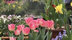 -深圳春天阳光医院·轮廓抗衰中心