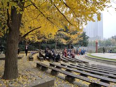 -成都市活水公园