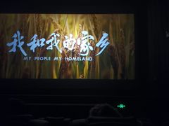 -南国影城(金光华店)