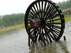 -合肥滨湖国家森林公园