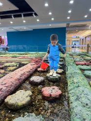 -钓虾工场·钓虾·赶海(回龙观店)