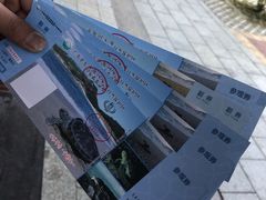 -广东惠东海龟国家级自然保护区