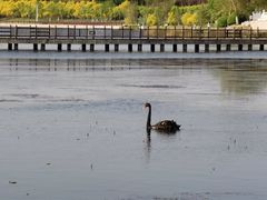 -天津东丽湖风景区
