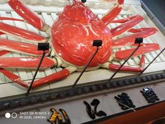 -蟹道乐(道顿堀本店)