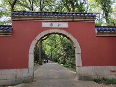 -灵谷景区