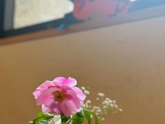 -梅间堂茶馆(绿地缤纷城店)
