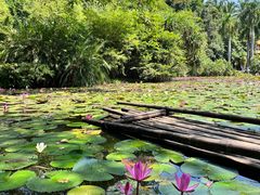 -中国科学院西双版纳热带植物园