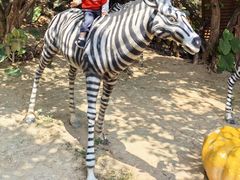 -泉州海丝野生动物世界