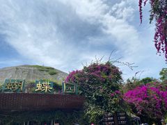 -野象谷景区
