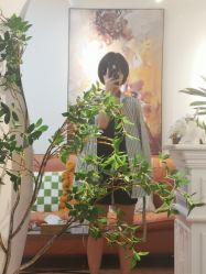 点击看大图 -苗坊净颜草本痘肌护肤