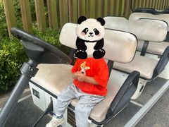 -金凤凰温泉度假村·凤凰汇中餐厅