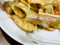 传统锅包肉-金掌勺锅包肉(华润万象城店)