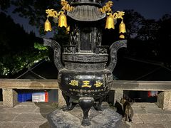 -泰州凤城河风景区-泰山公园