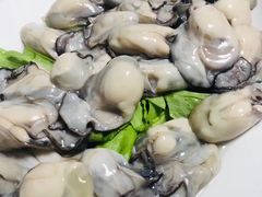 -金砂阿洲鱼册店