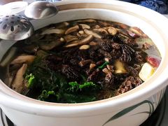 -爱膳菌锅锅(阳南店)