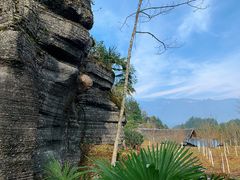 -梭布垭石林景区