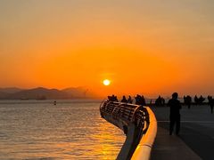 -演武大桥观景平台