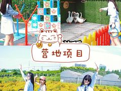 -栖露营camping·天幕烧烤·团建拓展·采摘营地