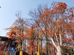 -东湖磨山景区