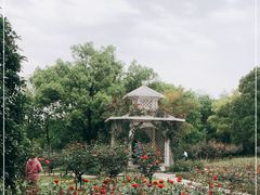 -东湖落雁景区