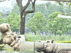 -武汉动物园