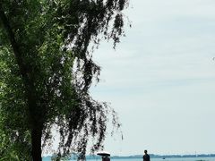 -苏州太湖湖滨国家湿地公园