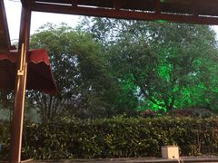 -咸宁万豪温泉谷度假区