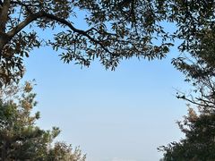 -惠山国家森林公园