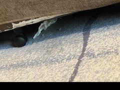 -广州增城富力万达嘉华酒店