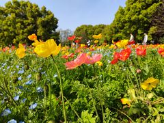 -上海共青森林公园