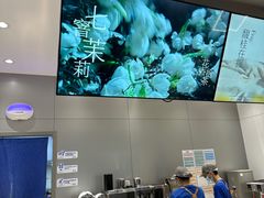 -茶百道(朝阳北路店)