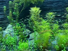 -上海海洋水族馆