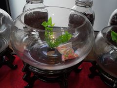 -辣尚瘾·烤鱼·新川菜(交大直营店)