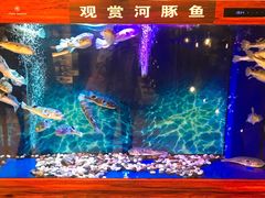 -肆月河豚·新淮扬(金融街店)