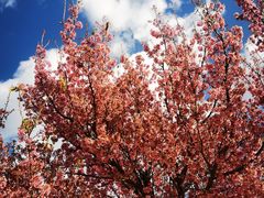 -天龙八部武侠城