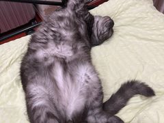 -佳雯宠物医院(四明中路分院)