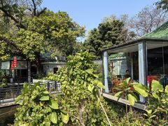 -侨美·唐荔园·40年地道粤菜